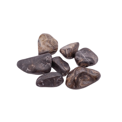 Stromatolite