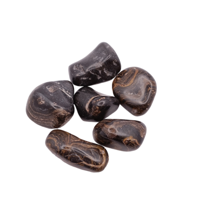 Stromatolite