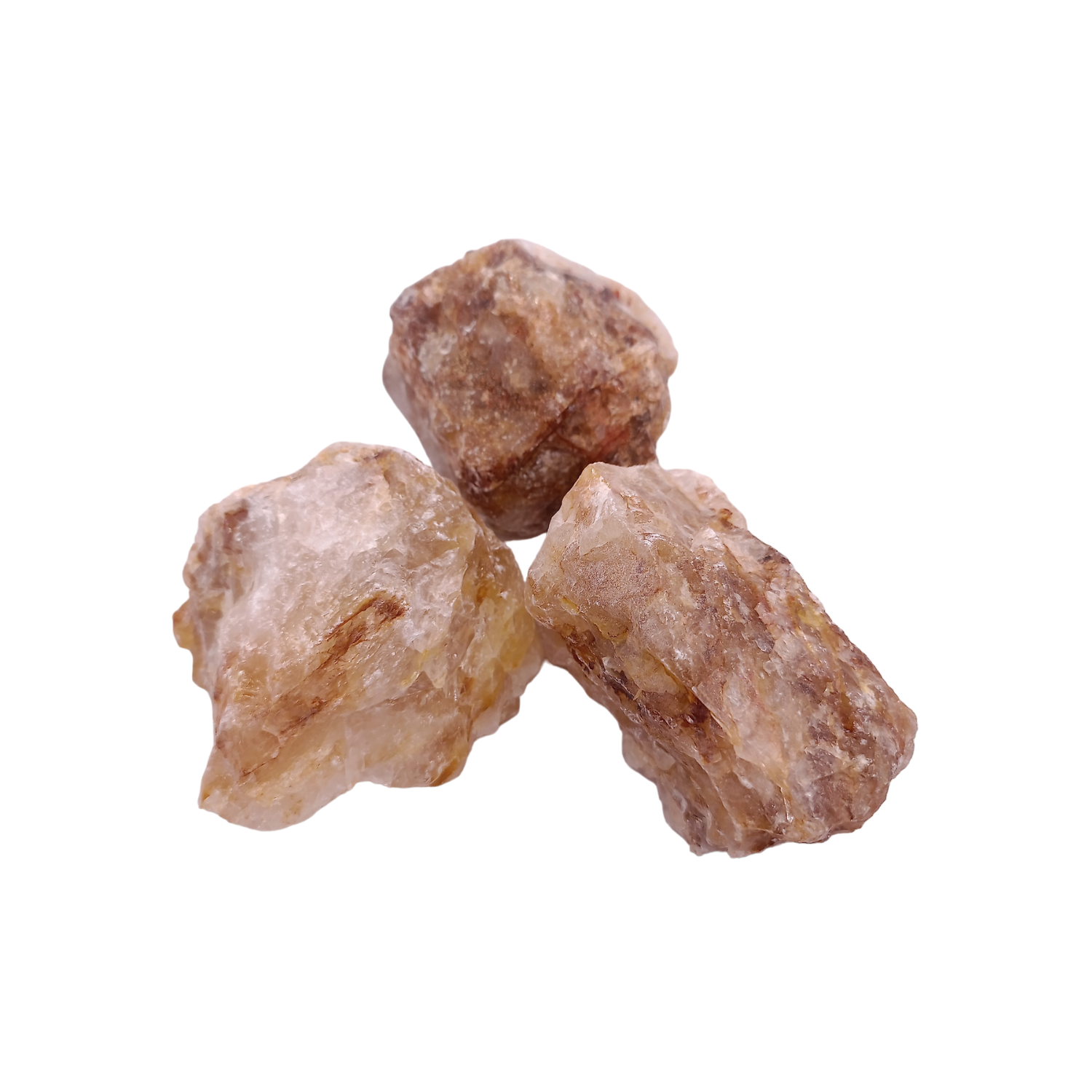 Golden healer brut