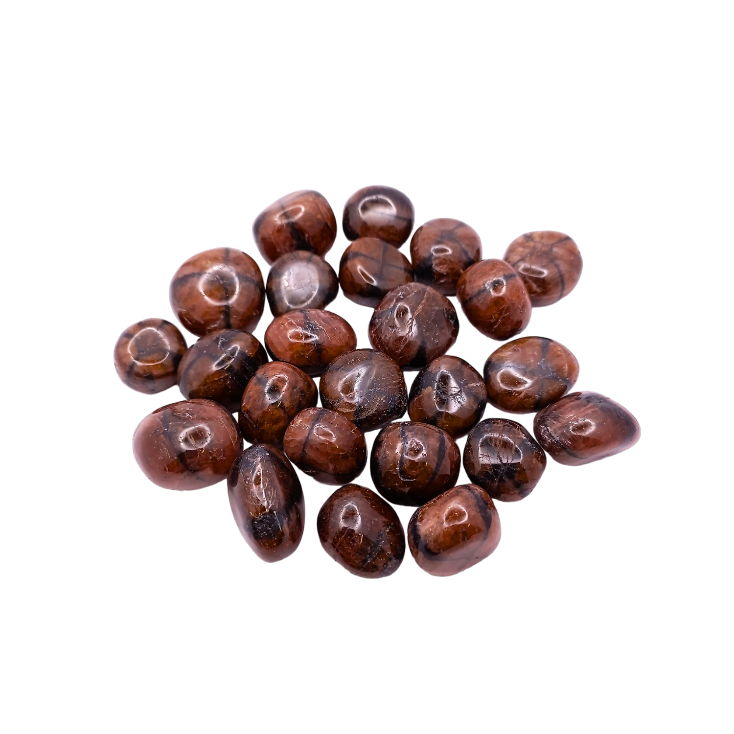 Chiastolite - Qualité extra