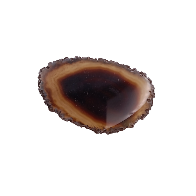 Tranche d'Agate teintée brune - 10 gr