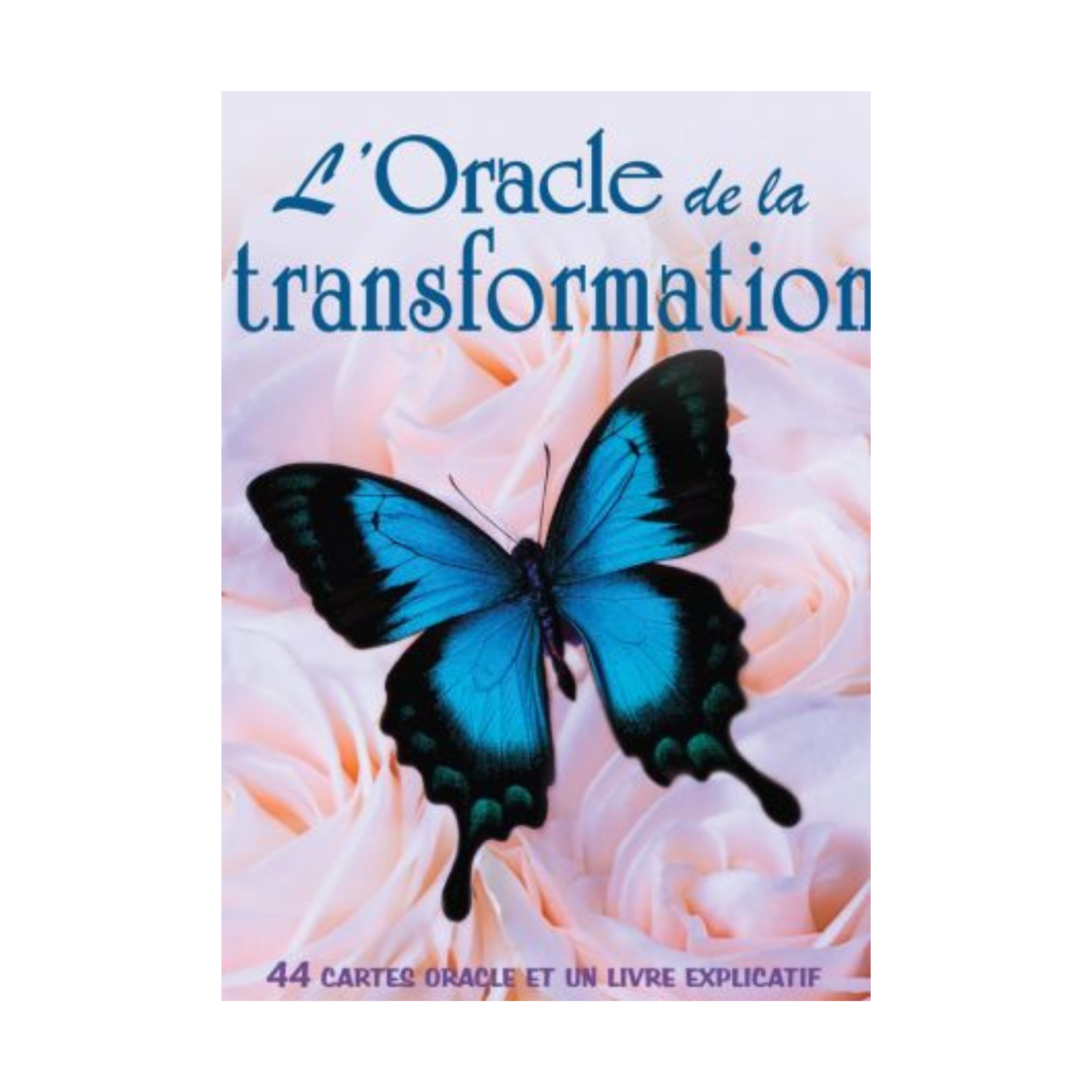L&#39;Oracle de la transformation