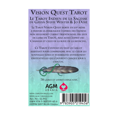 Tarot Vision Quest