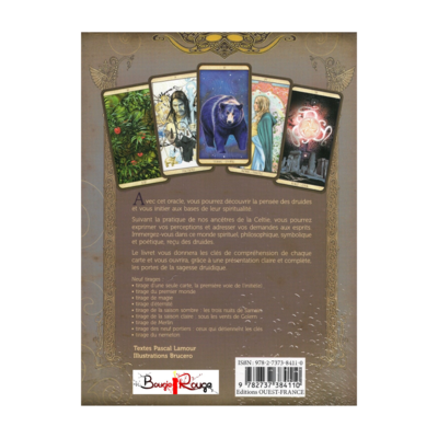 L'oracle du Druide