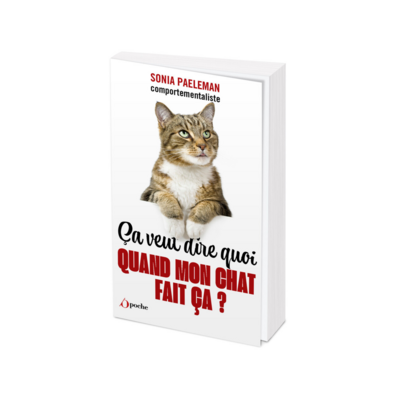 Ça veut dire quoi quand mon chat fait ça ?