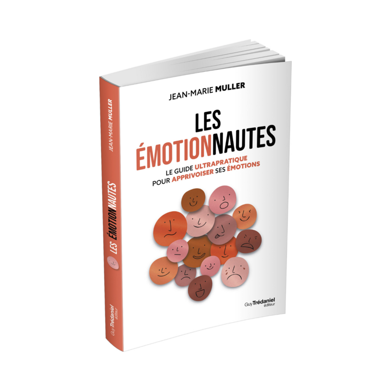 Les émotionnautes
