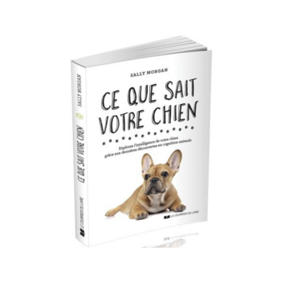 Ce que sait votre chien