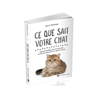 Ce que sait votre chat