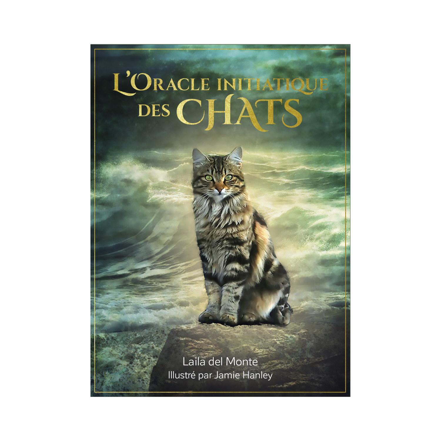 L&#39;Oracle initiatique des chats