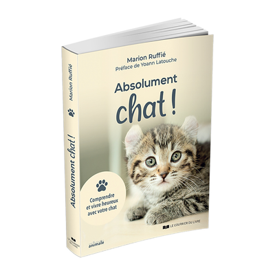 Absolument chat !