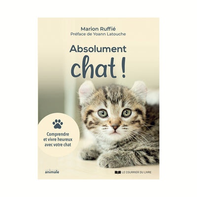 Absolument chat !