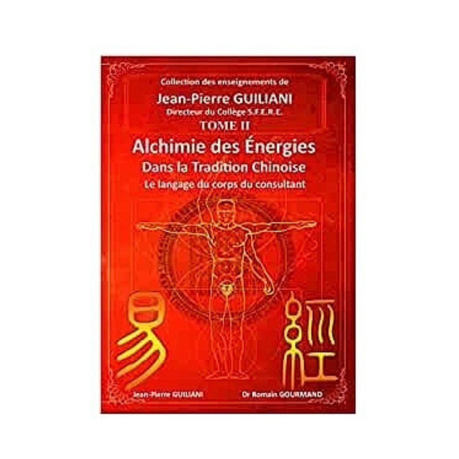 Alchimie des énergies dans la Tradition chinoise Tome 2