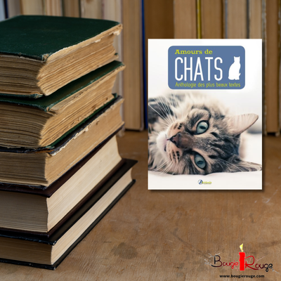 Amours de chats