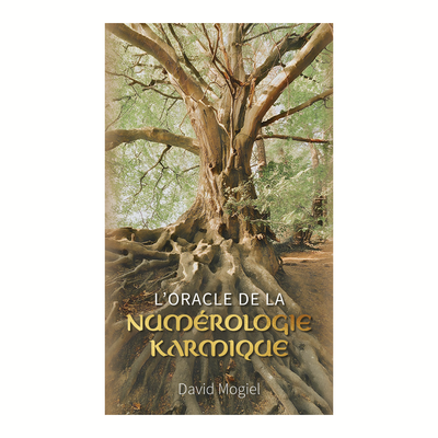 L&#39;oracle de la numérologie karmique