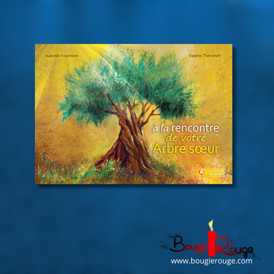 Á la rencontre de votre arbre sœur