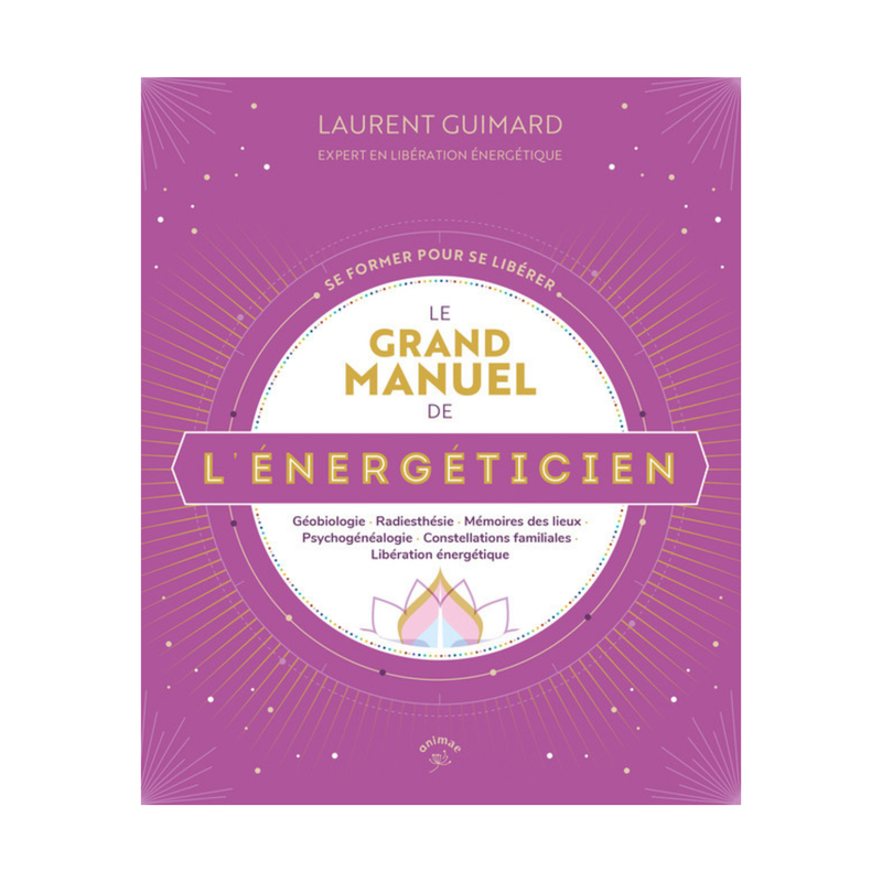Le grand manuel de l&#39;énergéticien