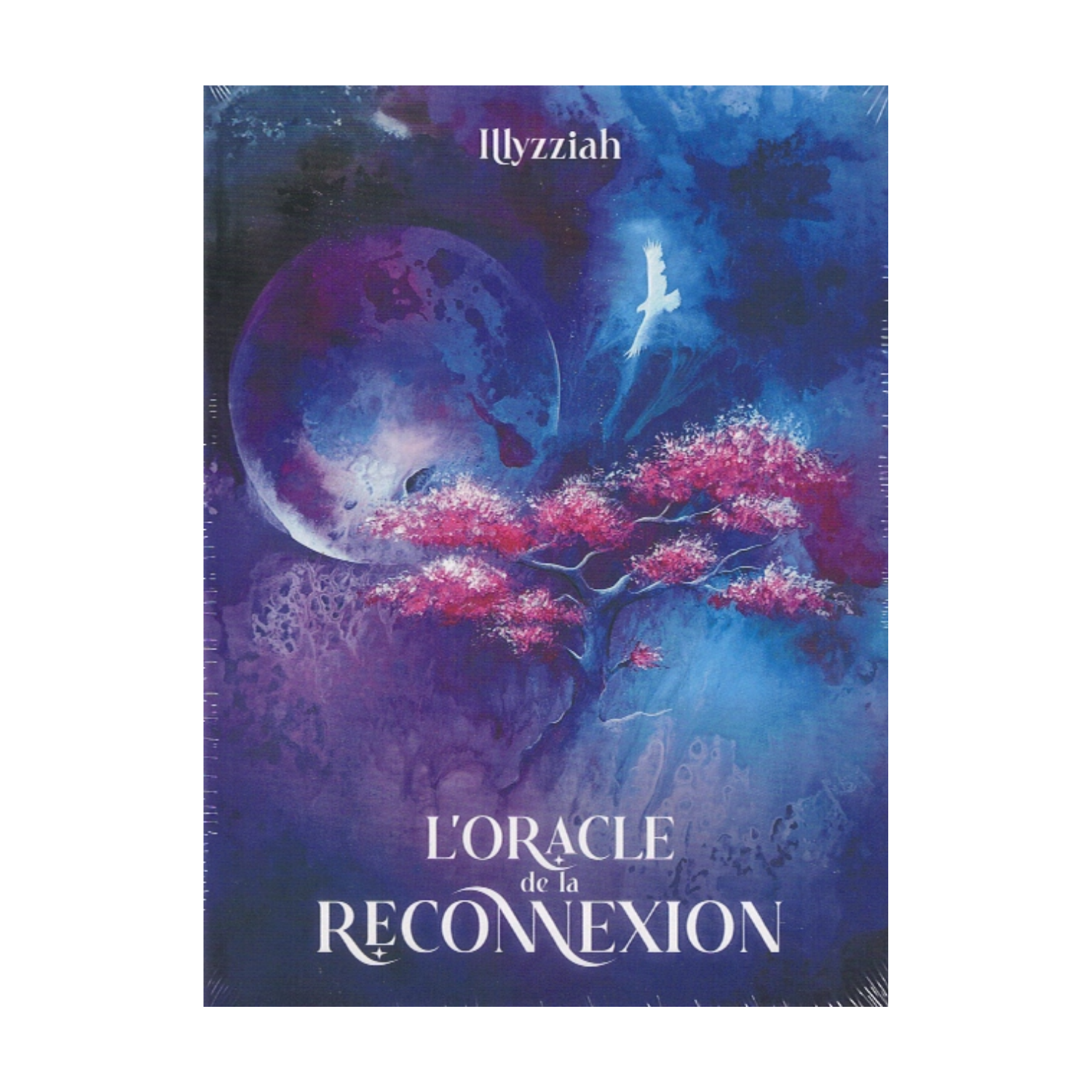 L&#39;oracle de la Reconnexion