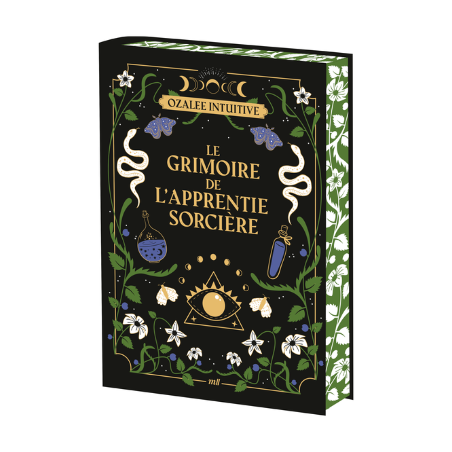 Le grimoire de l&#39;apprentie sorcière