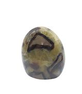 Forme libre en Septaria - 641 gr