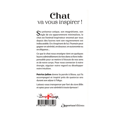 Chat, c'est le bonheur !