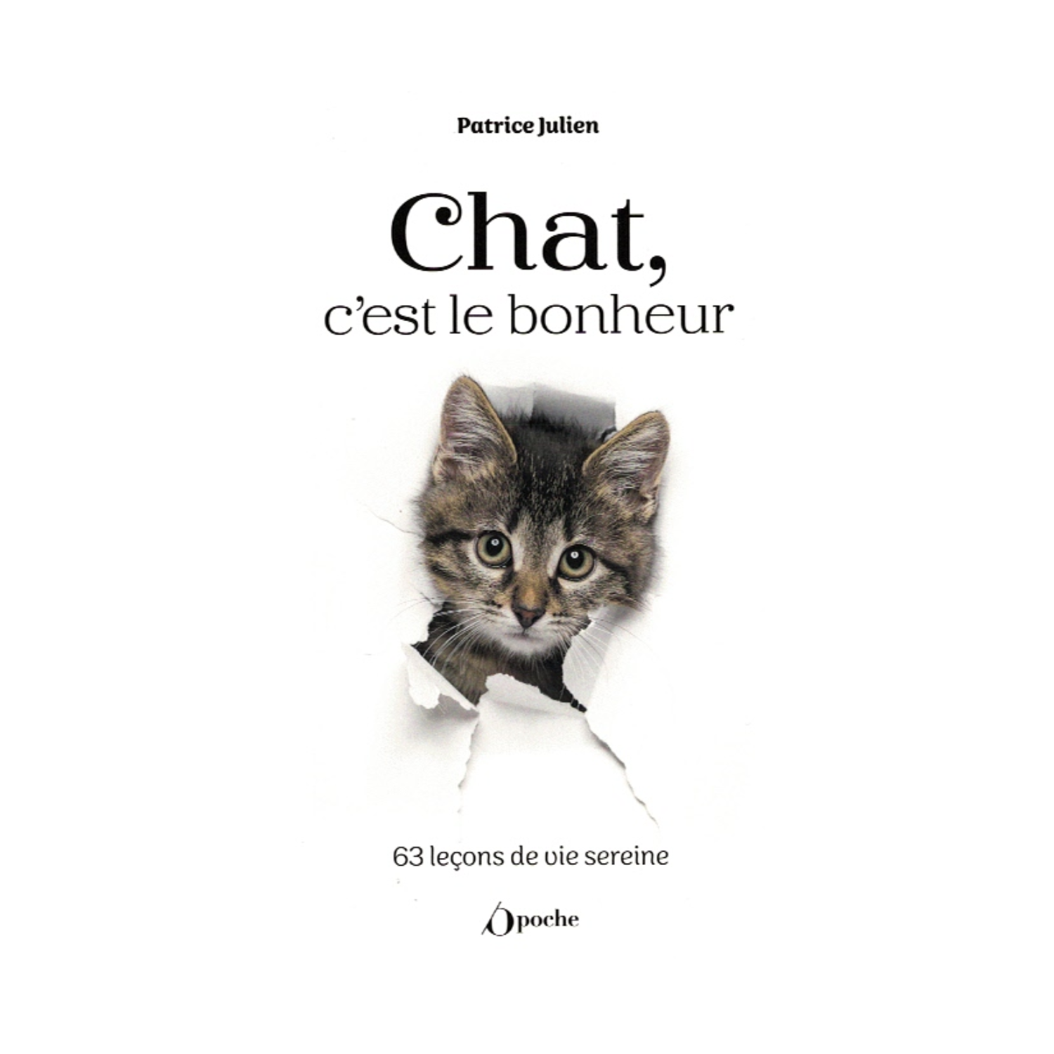 Chat, c&#39;est le bonheur !