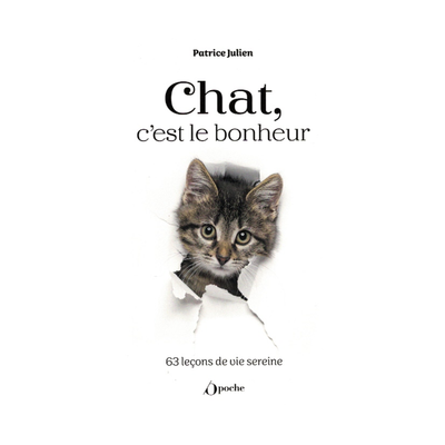 Chat, c&#39;est le bonheur !
