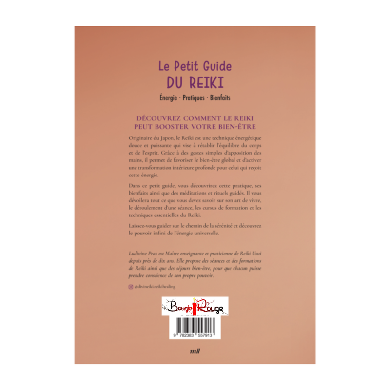 Le petit guide du reiki
