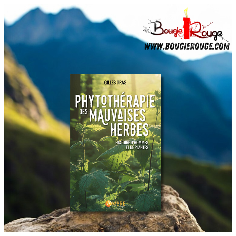Phytothérapie des mauvaises herbes