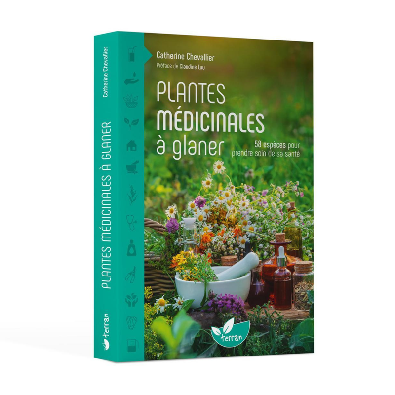 Plantes médicinales à glaner