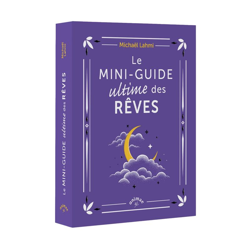 Le mini-guide ultime des rêves