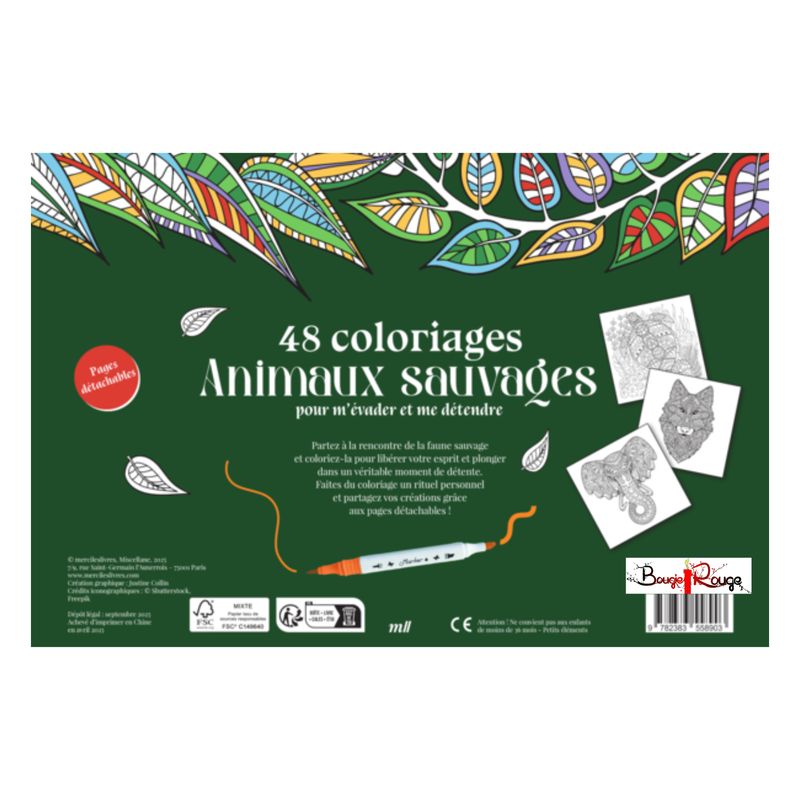 Coffret coloriages - Animaux sauvages