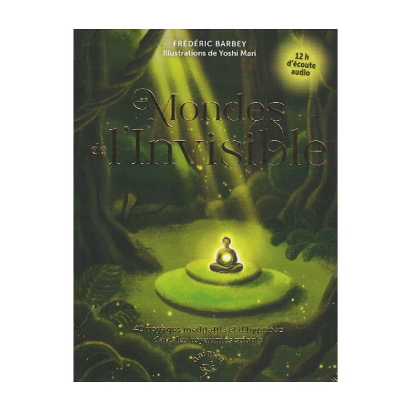 Les mondes de l'invisible Les mondes de l'invisible