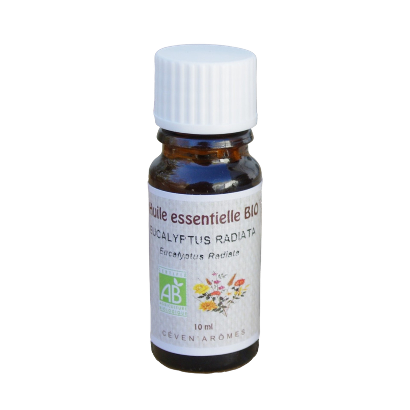 Huile essentielle Bio Eucalyptus Radiata