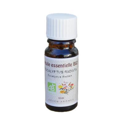 Huile essentielle Bio Eucalyptus Radiata