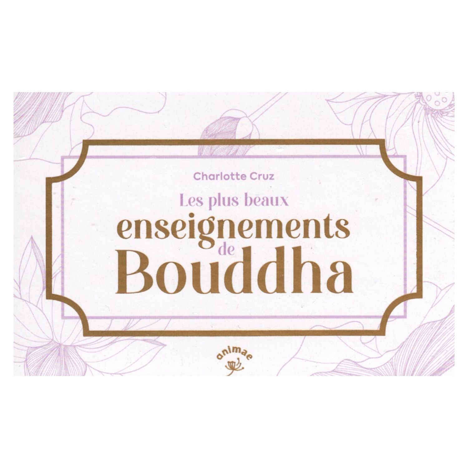 Les plus beaux enseignements de bouddha