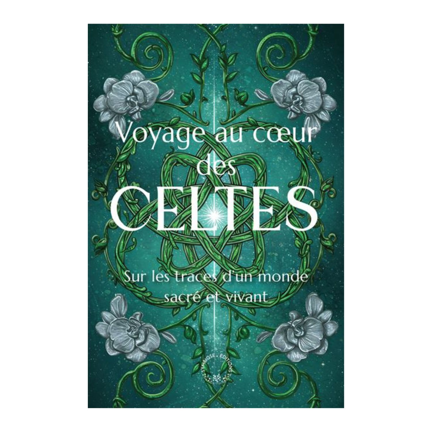 Voyage au cœur des Celtes