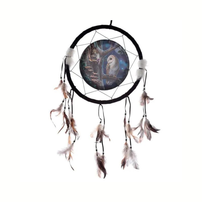 ​Attrape-rêves chouette et fée - 33 cm