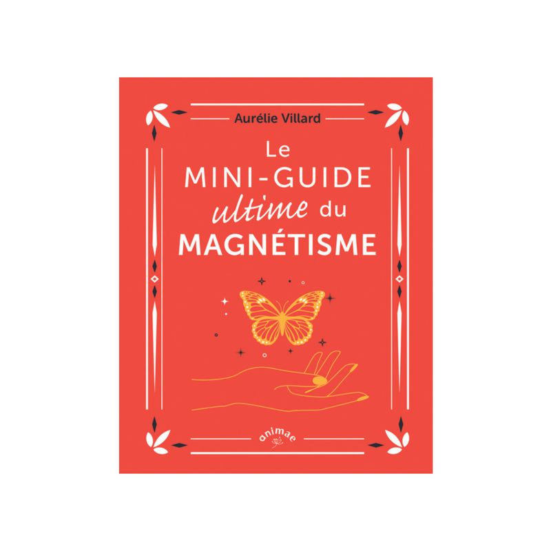 Le mini-guide ultime du magnétisme