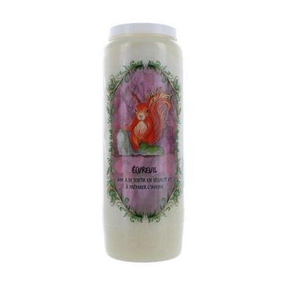 Neuvaine animal totem - Ecureuil