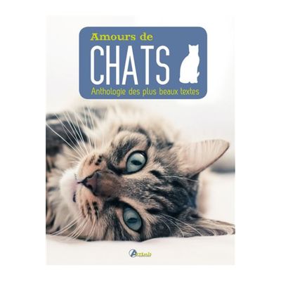 Amours de chats