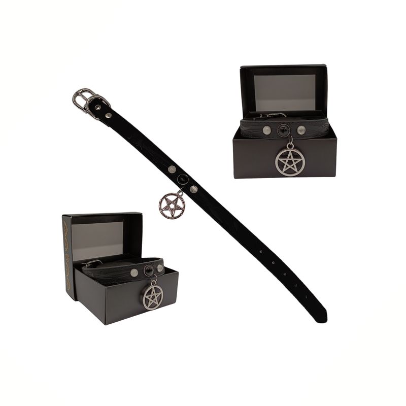 Collier chien pentacle