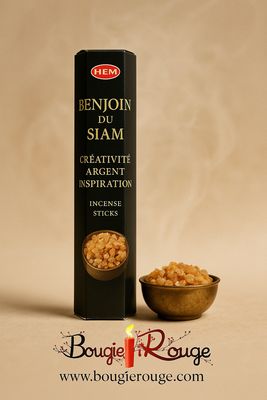 Encens Benjoin du Siam 20 grs Hem