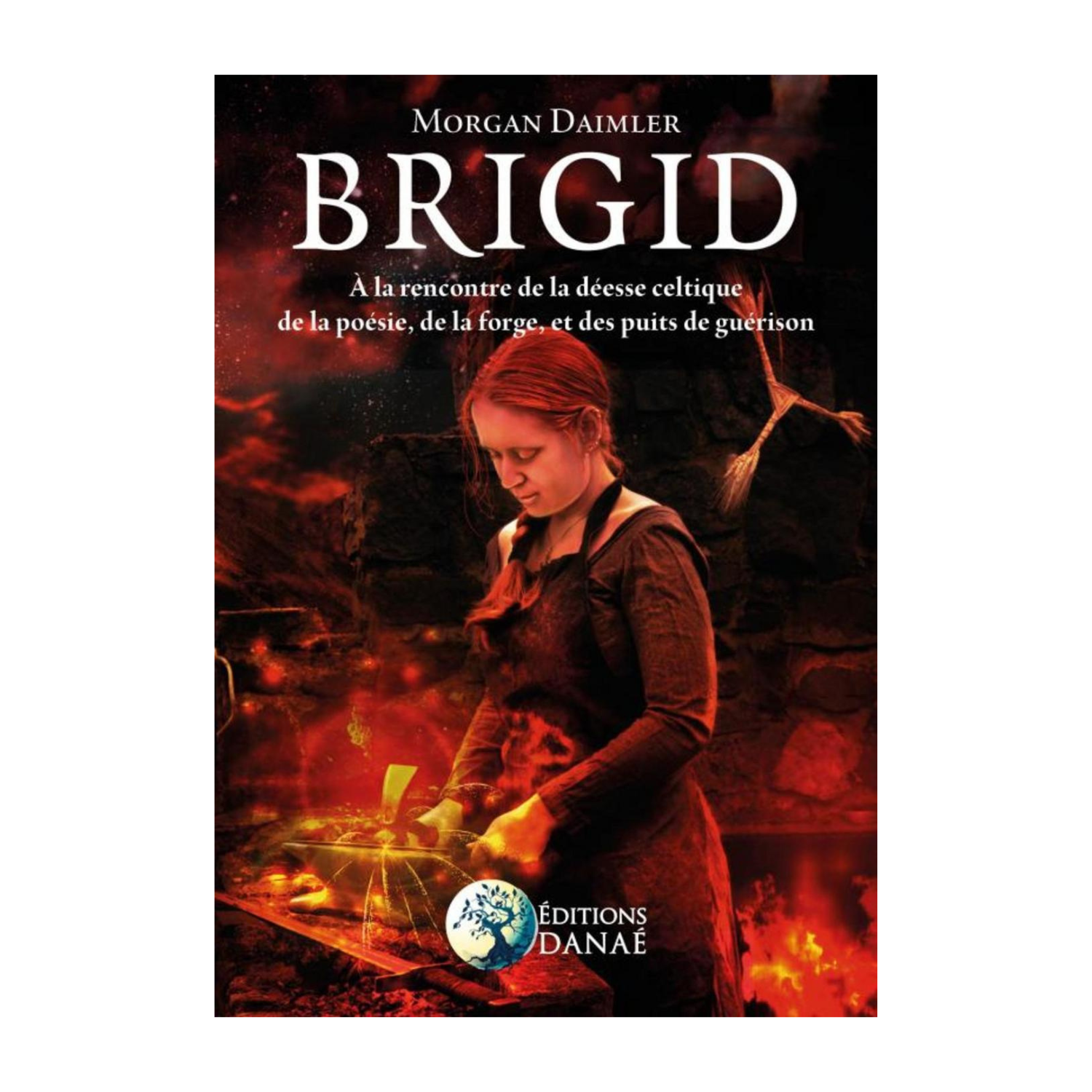 Brigid - Morgan Daimler - Livre