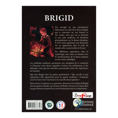 Brigid - Morgan Daimler - Livre