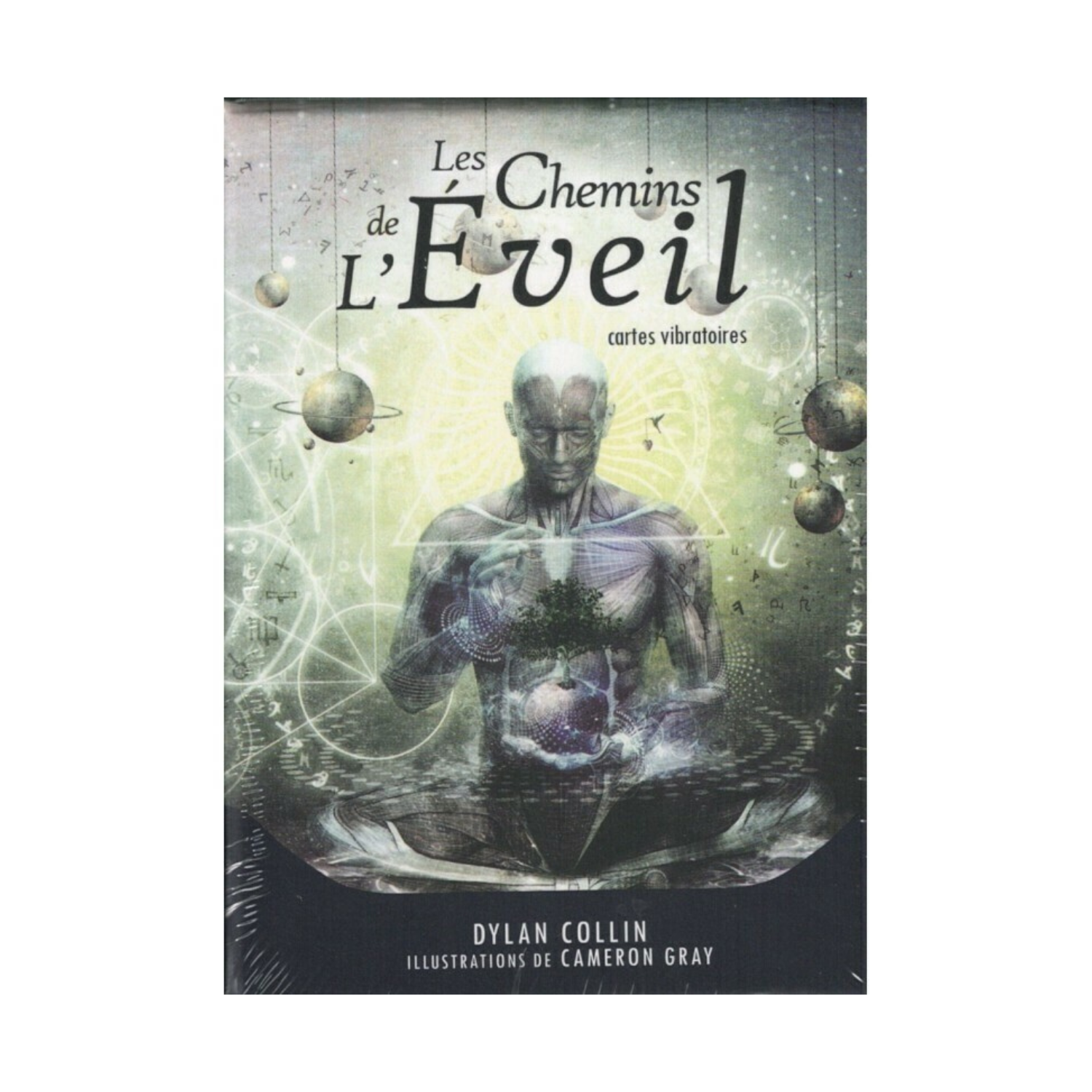 Les chemins de l'Éveil - Dylan Collin