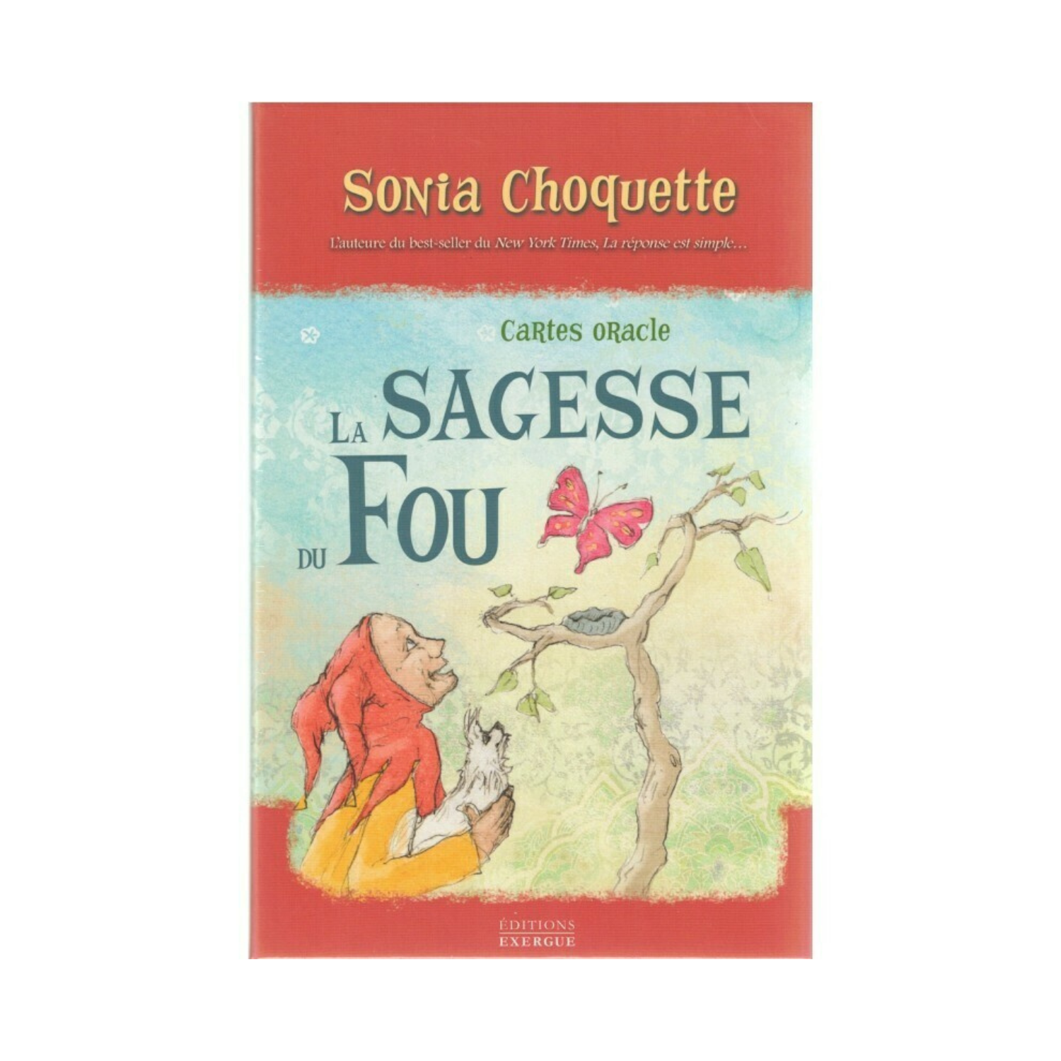 La sagesse du fou - Sonia Choquette