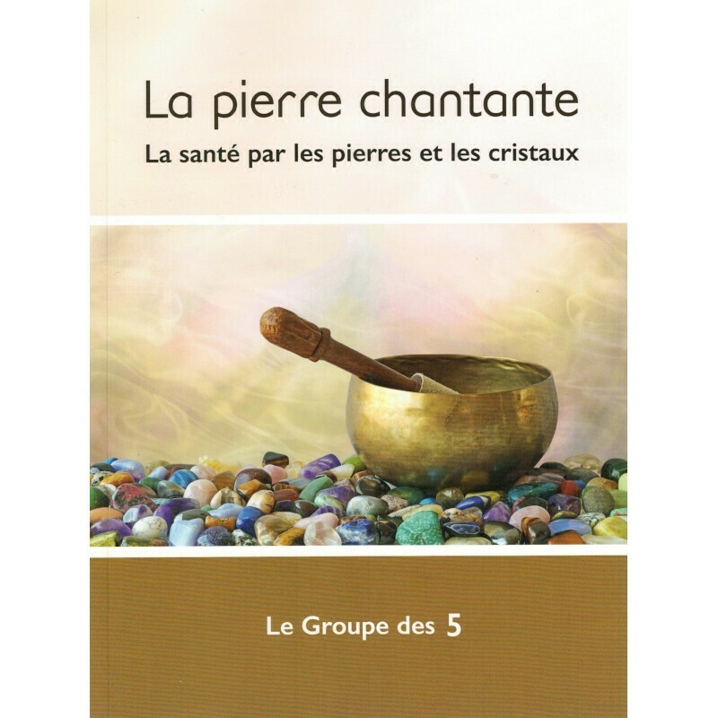 La pierre chantante - Le groupe des 5 - Livre