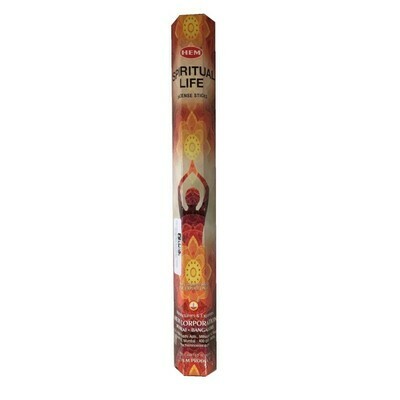 Encens Vie Spirituelle 20 gr Hem