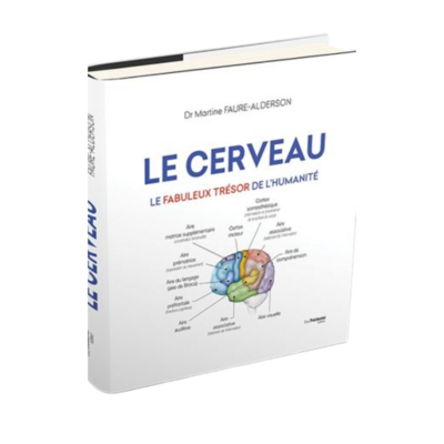 Le cerveau, le fabuleux trésor de l'humanité
