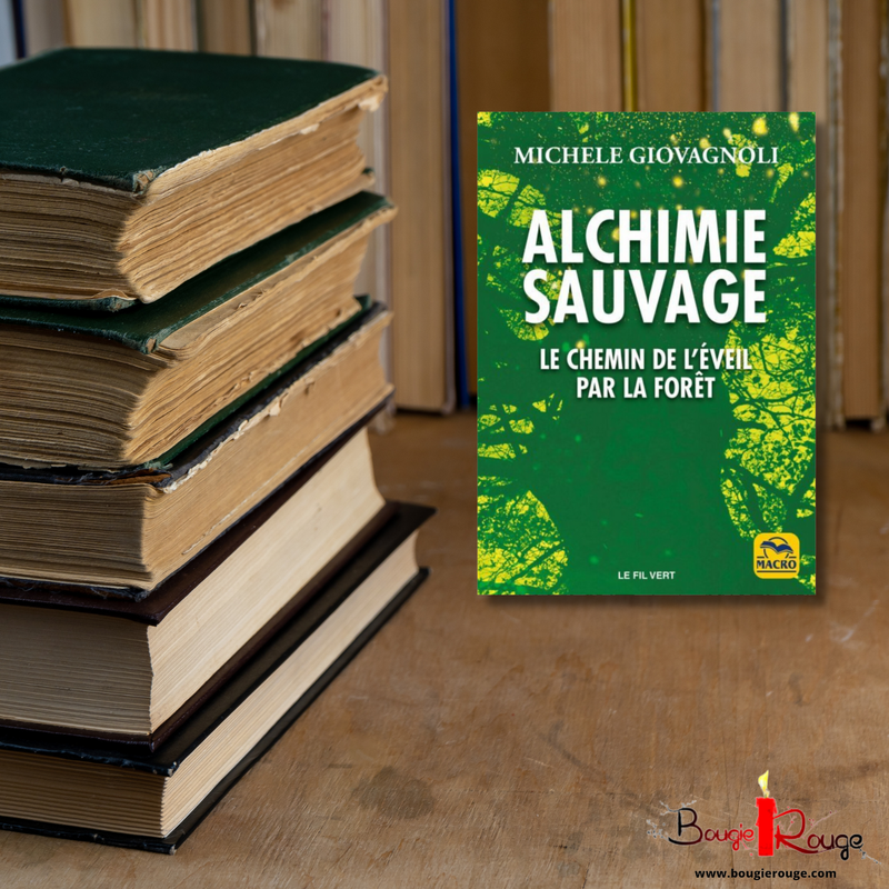 Alchimie sauvage - Le chemin de l'éveil par la forêt